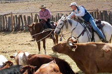 USA-New Mexico-Gila Wilderness Working Ranch